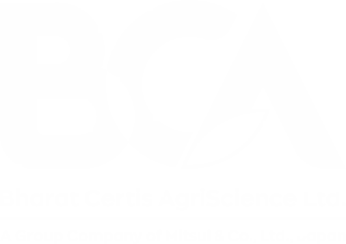 BCA Logo website bottom